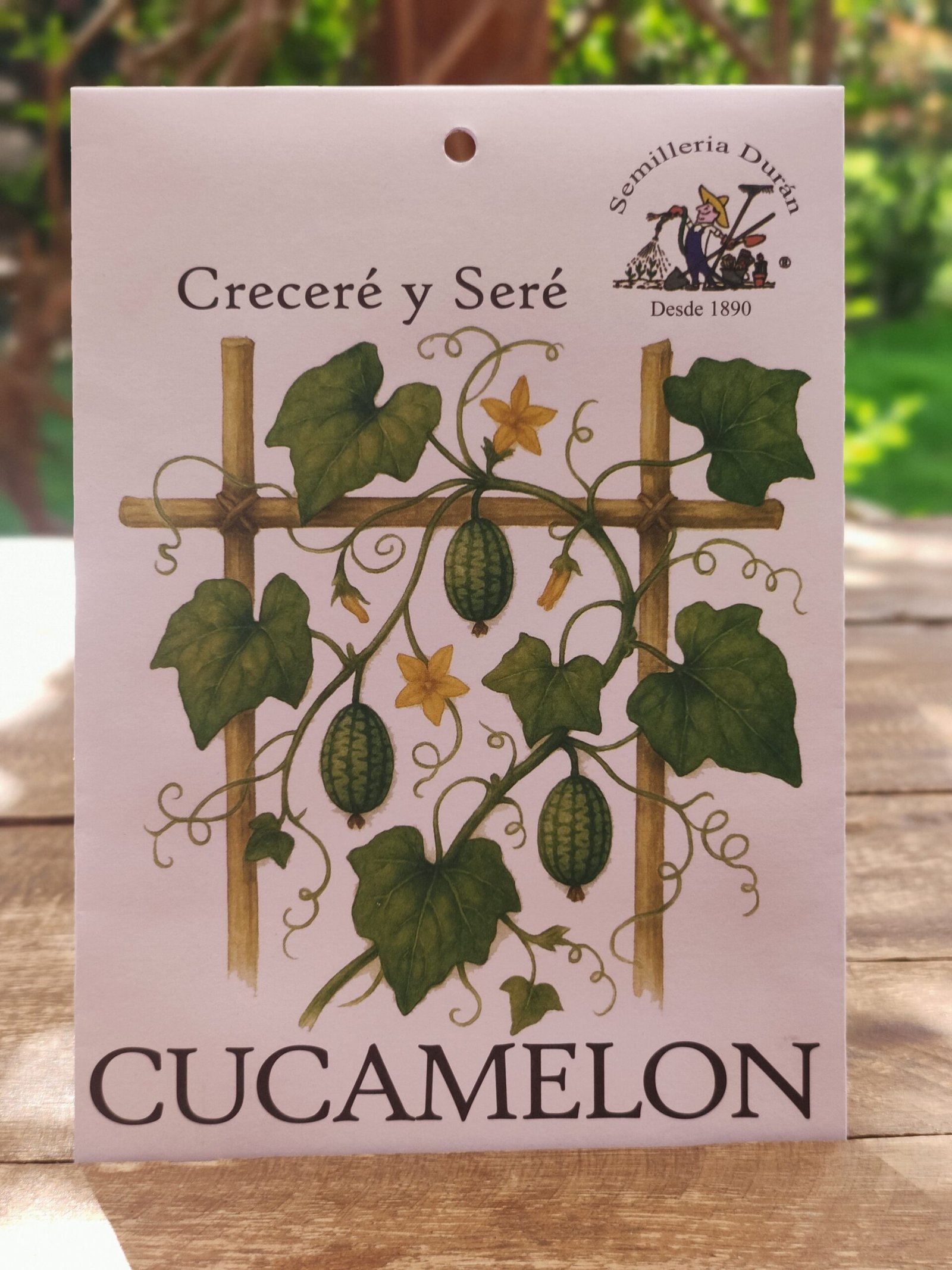 Cucamelon