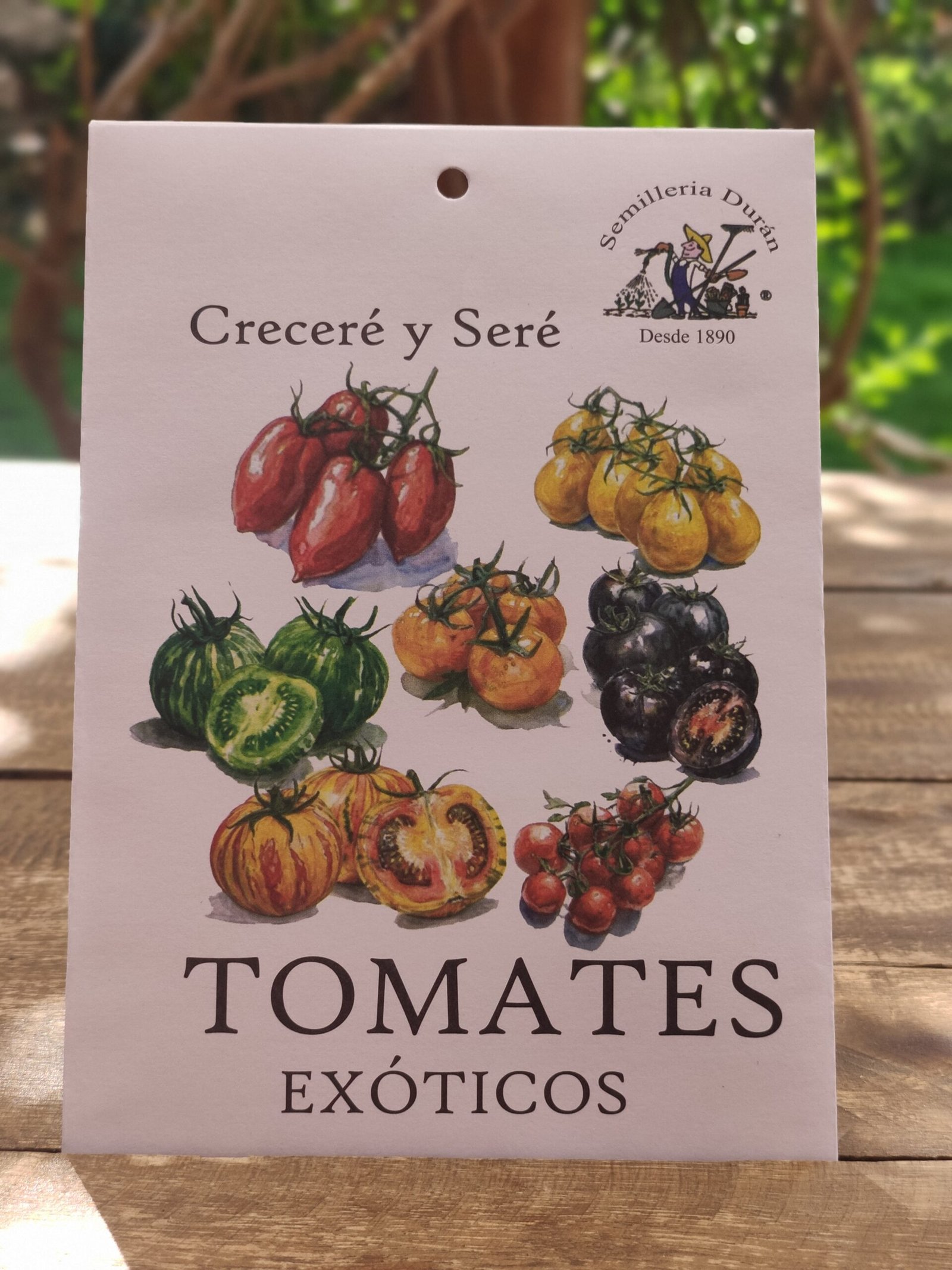 Tomates Exoticos