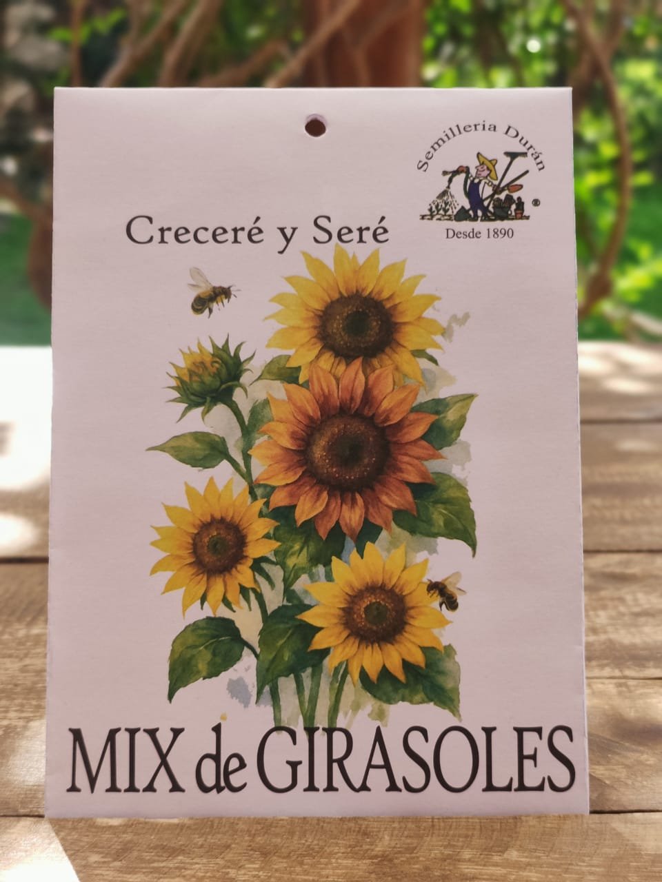 Mix de Girasoles