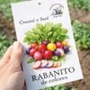rabanitos de colores Rabanito de Colores